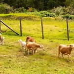 Florencas House - Private Jacuzzi & Garden * Calheta (Madeira)