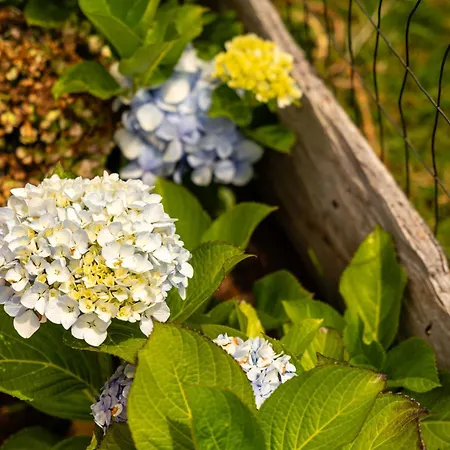 Casa vacanze Florencas House - Private Jacuzzi & Garden *