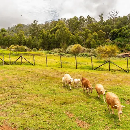 Casa vacanze Florencas House - Private Jacuzzi & Garden *