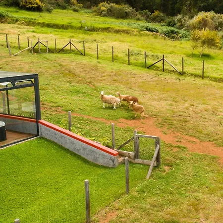 Vakantiehuis Florencas House - Private Jacuzzi & Garden Calheta (Madeira)