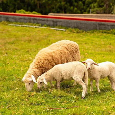 Florencas House - Private Jacuzzi & Garden Дом отдыха *