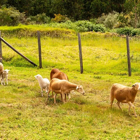 Florencas House - Private Jacuzzi & Garden * Calheta (Madeira)