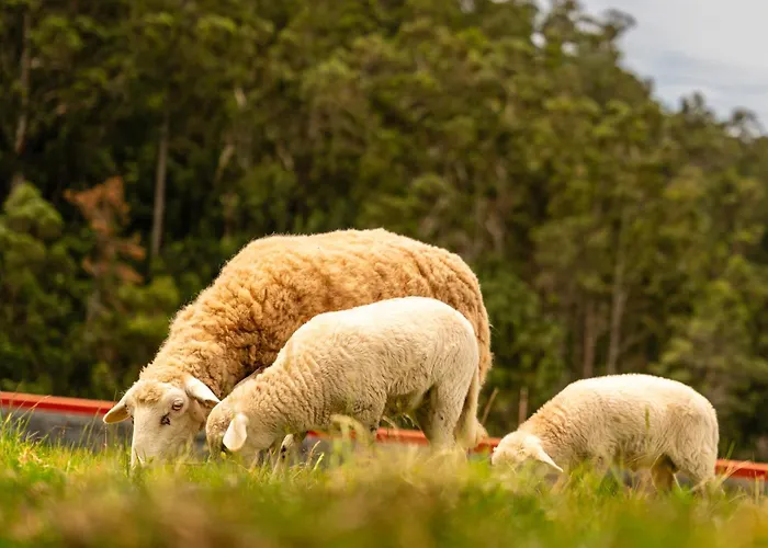 Florencas House - Private Jacuzzi & Garden Dom wakacyjny *