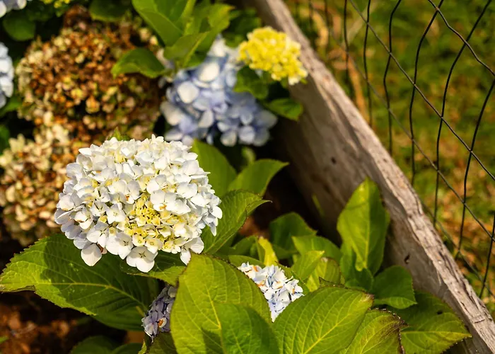 Dom wakacyjny Florencas House - Private Jacuzzi & Garden *