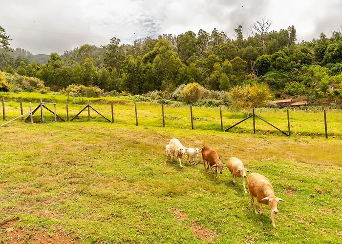 Dom wakacyjny Florencas House - Private Jacuzzi & Garden *